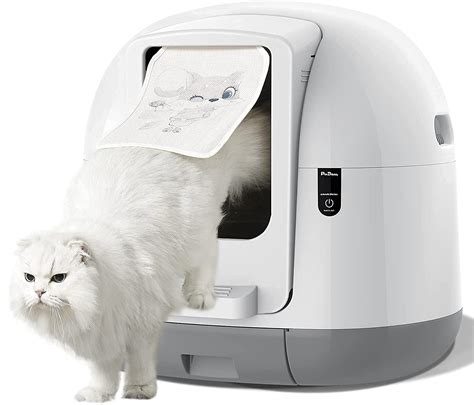 safest self cleaning litter box